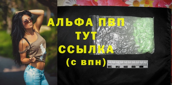 PSILOCYBIN Ладушкин